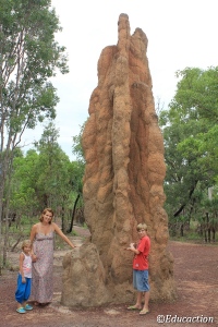 Termitero en Litchfield National Park